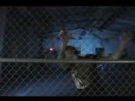 Blessed Is He - Lay Down the Law - Vidéo