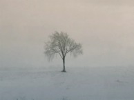 Underoath - Paper Lung - vidéo