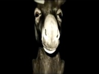 Sent by Ravens - We are all Liars - Vidéo