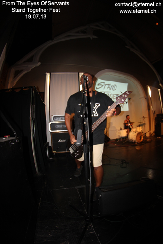 FTEOS-STF-2013