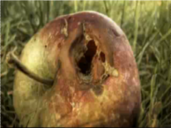 Sky Eats Airplane - Numbers - Vidéo