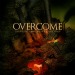 Overcome - The great Campaign of Sabotage - 2011